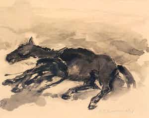 Jan Groenestein - C4575-5 - Dood paard verkocht voor € 175!