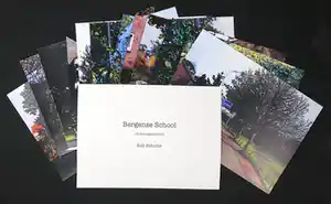 Rob Scholte - Bergense School, 13 dorpsgezichten | collectors item (E.A. 1/5) verkocht voor € 399!