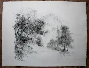 Jaap Kruijff - Litho: geit tussen de bomen kopen? Bied vanaf 49!