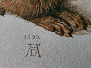 Albrecht Durer - Een jonge haas (op handgeschept papier) kopen? Bied vanaf 1!