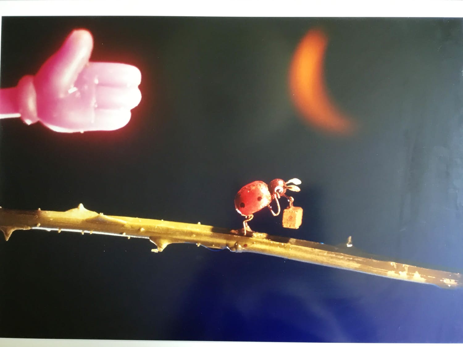 Henk Tas - Beetles out! kopen? Bied vanaf 20!