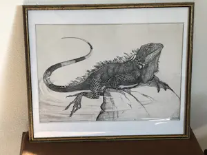 Theo van Hoytema - Leguaan, zittend op een steen in het water kopen? Bied vanaf 40!