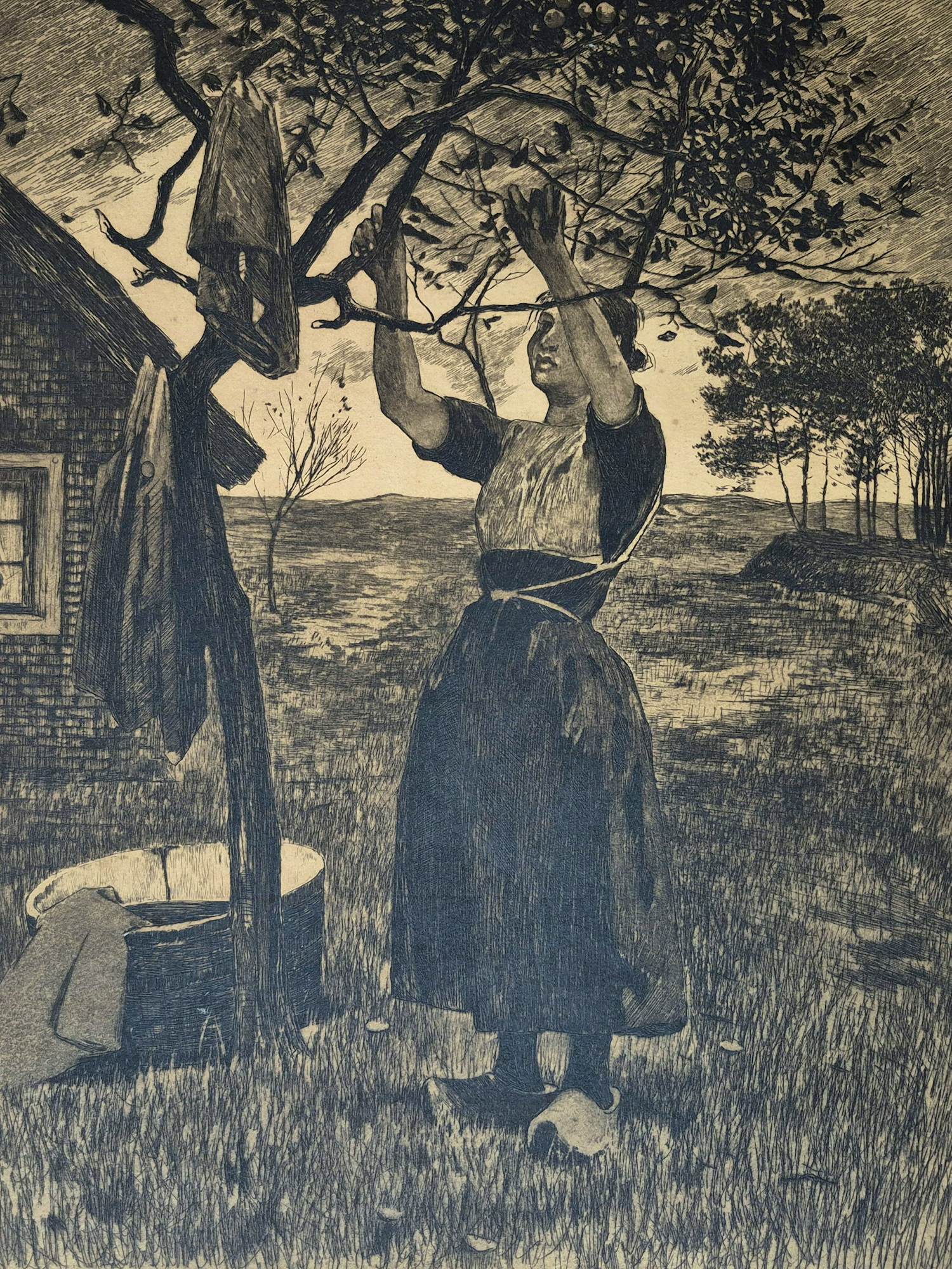 Willem Witsen - Ets E/A - vrouw bij appelboom, gesigneerd r.o. kopen? Bied vanaf 225!