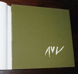 Bram van Velde - litho, met potlood gesigneerd en genummerd 2 - incl groot kunstboek kopen? Bied vanaf 299!