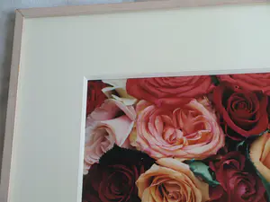 Sylvia Dudok van Heel - Ingelijste foto, Bloemstilleven Rozen 2 – 52 x 62 cm - 2002 kopen? Bied vanaf 1!