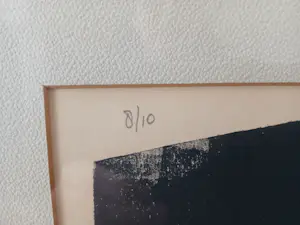 Jo van Dijk - Jo van Dijk kopen? Bied vanaf 100!