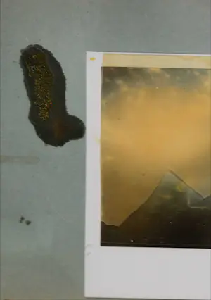 Boudewijn Korber - Gemengde techniek op papier, Le jardin de daubigny 3 kopen? Bied vanaf 1!