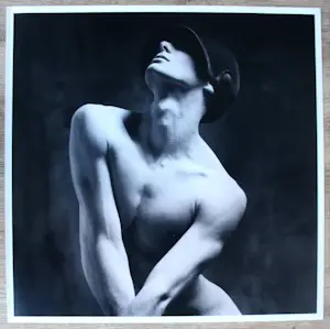 Erwin Olaf - Foto incl boek: "Own" luxe editie - 2011 (19 kg zwaar, 368 pagina's) kaufen? Bieten Sie von 1999!