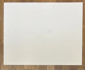 Corneille - Lithografie La splendeur de l'oiseau (De pracht van de vogel) 1985 kopen? Bied vanaf 650!