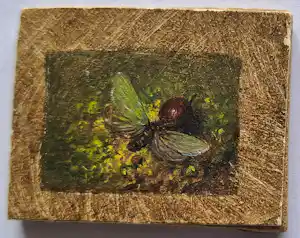 Hans van Wijk - Vlinder vendu pour 50€ !
