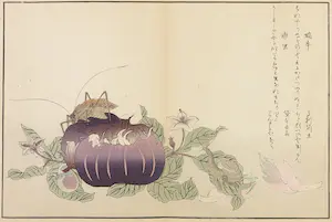 Kitagawa Utamaro - Houtdruk, Slak en krekel op aubergine kaufen? Bieten Sie von 35!