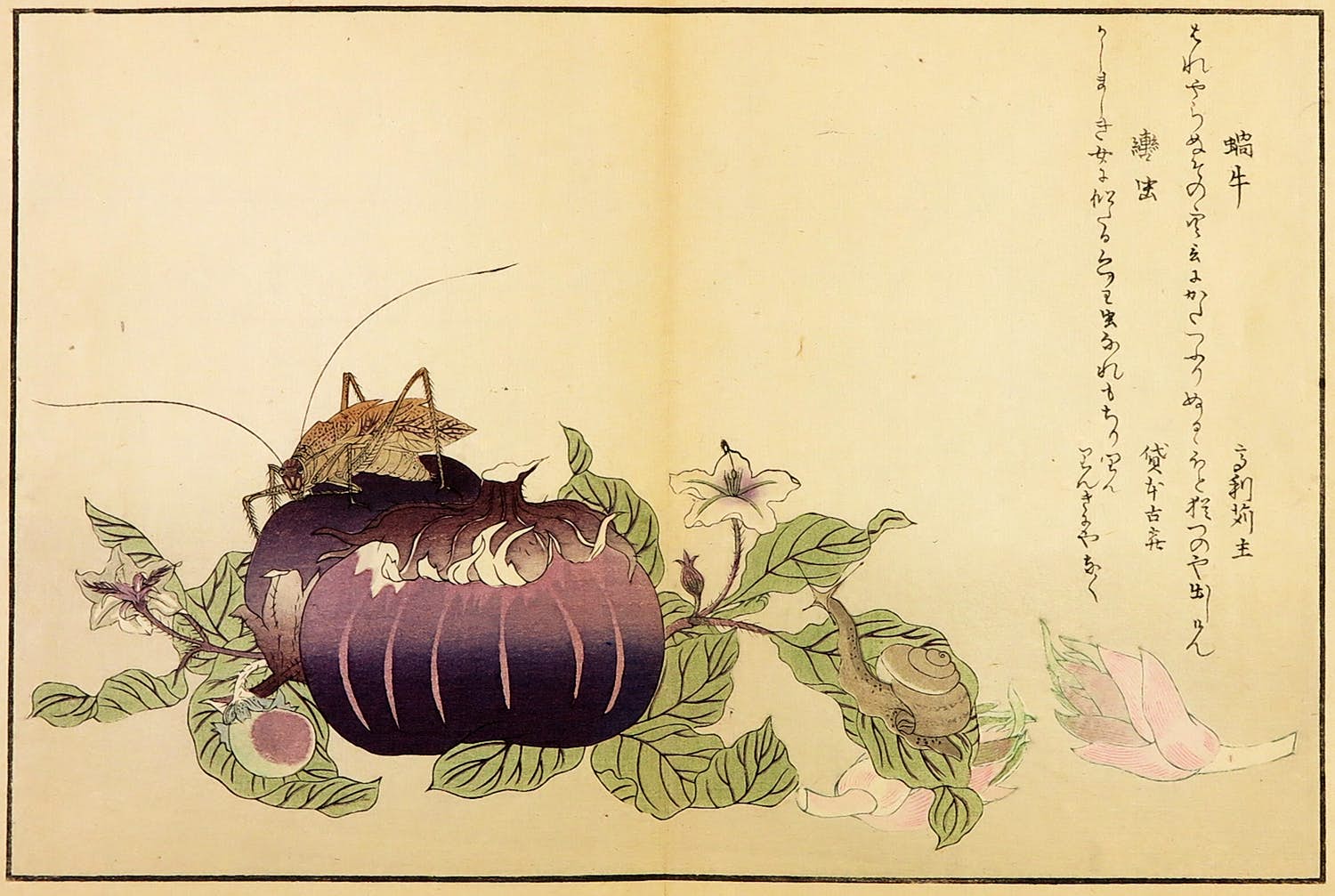 Kitagawa Utamaro - Houtdruk, Slak en krekel op aubergine verkocht voor € 35!