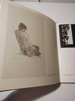 Pieter Wiegersma - Gouaches - Tekeningen - Wandtapijten 1980-1981 kopen? Bied vanaf 1!