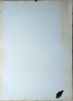 Cornelis Brandenburg - Zuiderkerk kopen? Bied vanaf 70!