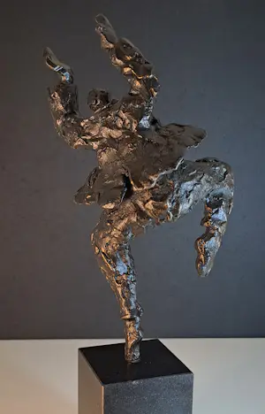 Wim Heesakkers - Dance kopen? Bied vanaf 50!