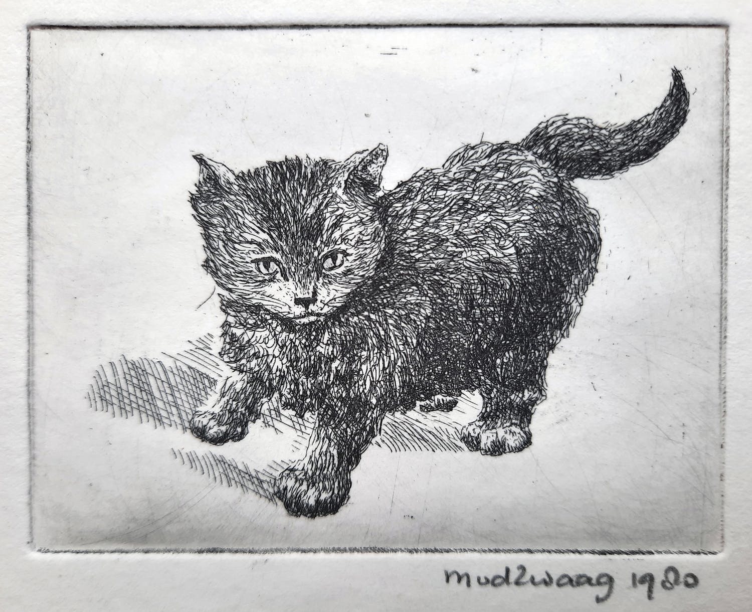 Marijke van der Zwaag (1945)