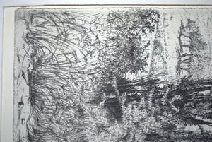 Jan Coenraad Nachenius - ets - Gezicht op de Rijn vanaf de Wageningse berg kopen? Bied vanaf 40!