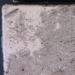 Harry van Kruiningen - Ets op marouflé, Het aansprekersoproer kopen? Bied vanaf 50!