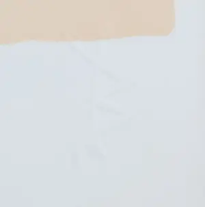 Bob Negryn - My first New Zealand print kopen? Bied vanaf 75!