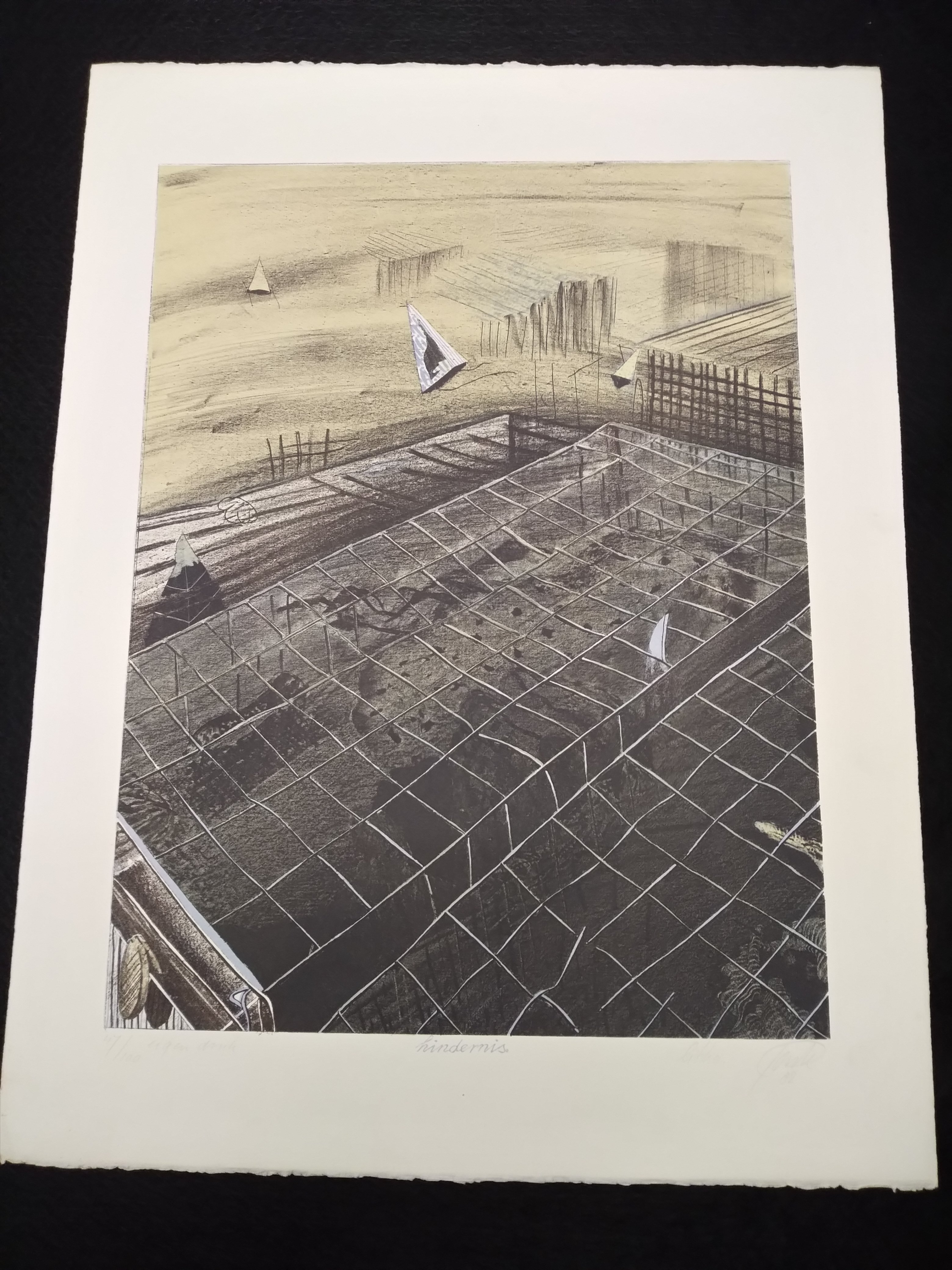 Wim Jonkman - Hindernis verkocht voor € 35!
