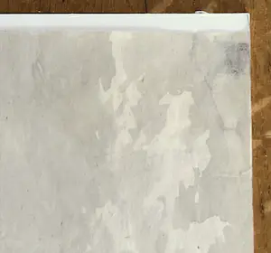 Harry Heijer - Gevelde boom, sepia kopen? Bied vanaf 60!