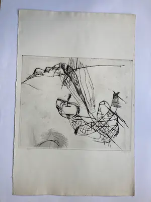 Wessel Couzijn - proefdruk kopen? Bied vanaf 95!