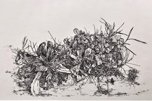 Simon Koene - Madelieven kopen? Bied vanaf 25!