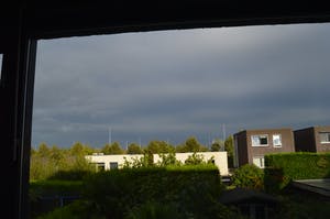 Jan Mankes - Koemelkster. kopen? Bied vanaf 300!