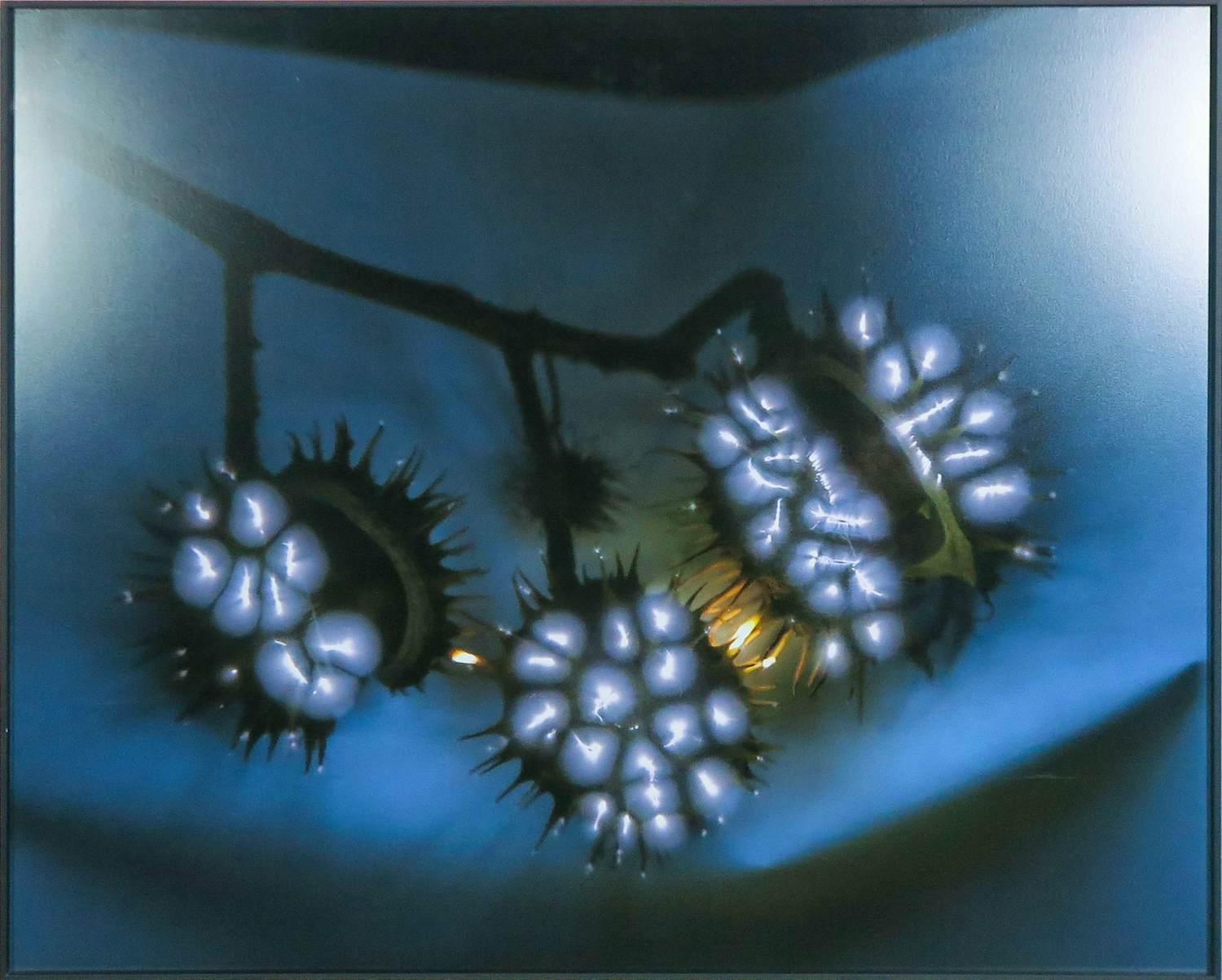 Paul den Hollander - Digitale print, Luminous Garden #23 kopen? Bied vanaf 50!