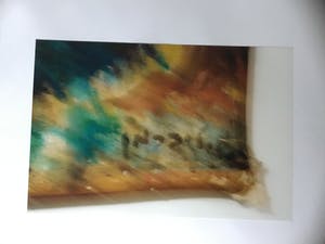 Niet of onleesbaar gesigneerd - “ de tentoonstelling” kopen? Bied vanaf 1!