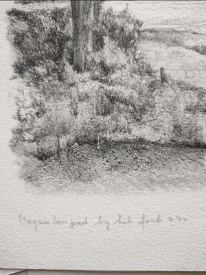 Cisca Simons - Vagantenpad Bunnik - litho uit 1985 kopen? Bied vanaf 1!