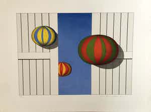 Marinus Fuit - Ballonnen verkocht voor € 75!