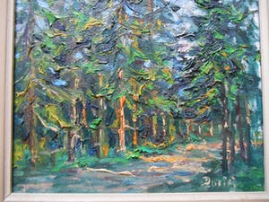 Julien Duriez - Sous bois de sapins dans le Jura kopen? Bied vanaf 30!