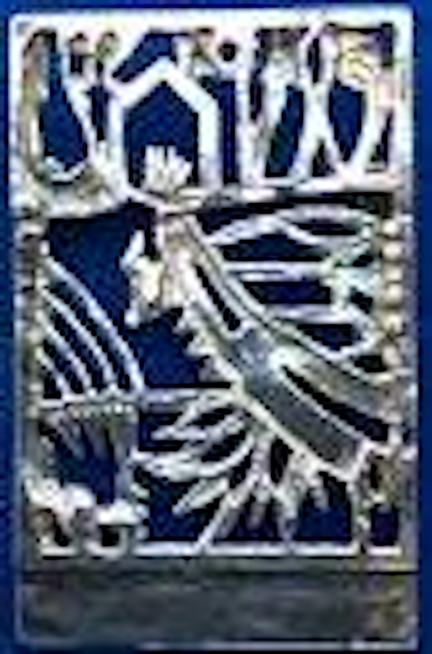 Jeroen Krabbé - Zilveren design broche/hanger 'Vogelxang' verkocht voor € 59!