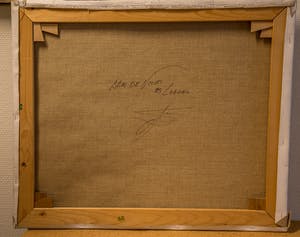 Toon Wildeboer - huisje in landschap kopen? Bied vanaf 10!