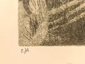 Marcel Boon - Proefdruk van de kunstenaar, lithografie. kopen? Bied vanaf 54!