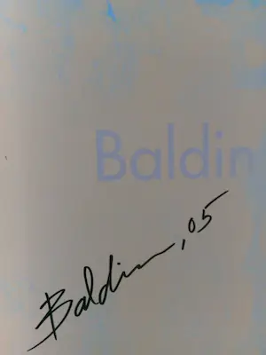 Ahmad Baldin - De Magie van het Moment - NEW en GESIGNEERD. kopen? Bied vanaf 10!