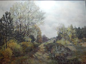 Niet of onleesbaar gesigneerd - heide landschap kopen? Bied vanaf 10!