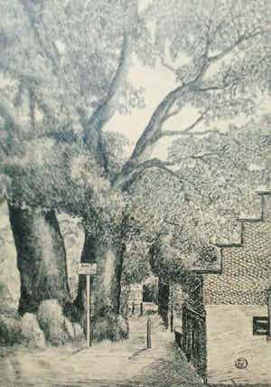 Fokke Kamstra - Dorpsgezicht Bergen nh met Museum.....( Smalle Pad ). verkocht voor € 40!