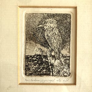 Rins Heidema - IJsvogel - Ets, Ingelijst kopen? Bied vanaf 30!