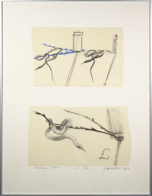 Auke de Vries - Litho, Slangen - Ingelijst kopen? Bied vanaf 100!