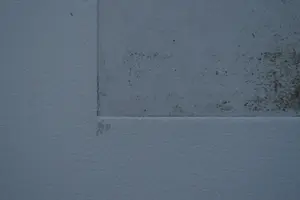 Marian Zult - zonder titel kopen? Bied vanaf 30!