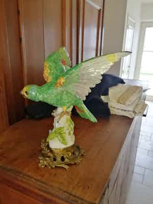 Niet of onleesbaar gesigneerd - Papegaai met gespreide vleugels verkocht voor € 1!