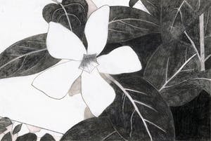 Mark Cohen - Work on paper N3 kopen? Bied vanaf 45!