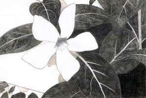 Mark Cohen - Work on paper N3 verkocht voor € 45!