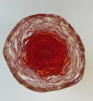 Geoffrey Baxter - Bark Vaas Ruby Red kopen? Bied vanaf 30!