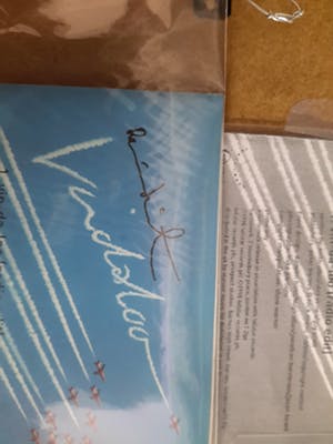 Damien Hirst - Vindaloo kopen? Bied vanaf 250!