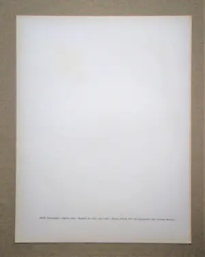 Joan Miro - Droomboeket voor Leila - 1964 - Originele litho kopen? Bied vanaf 180!