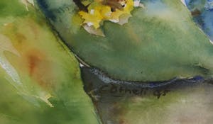 Niet of onleesbaar gesigneerd - Aquarel, Zonnebloemen - Ingelijst kopen? Bied vanaf 1!