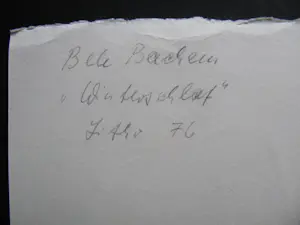 Bele Bachem - " WINTERSCHLAF " 1976 signiert kopen? Bied vanaf 100!